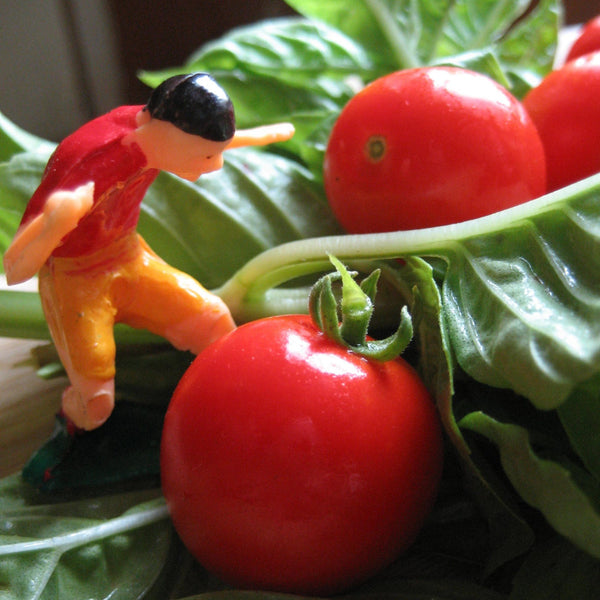 Tiny Tim Tomato vendor-unknown