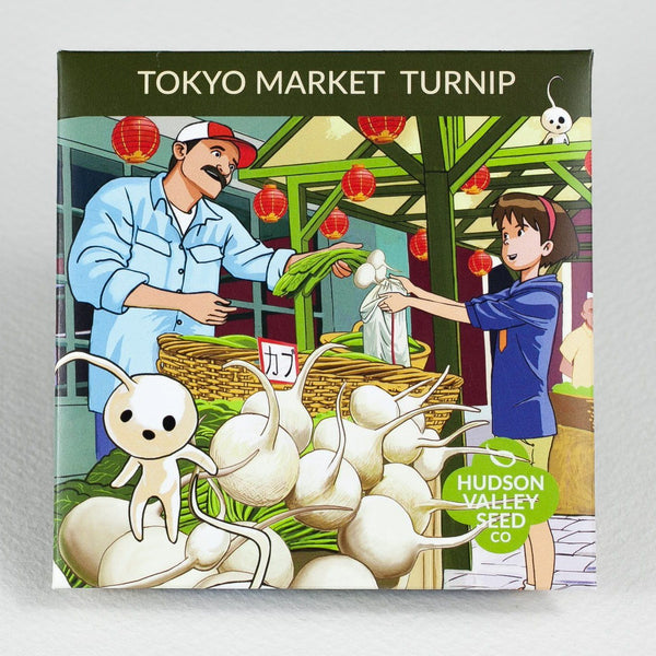 Tokyo Market Turnip vendor-unknown
