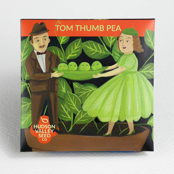 Tom Thumb Pea vendor-unknown