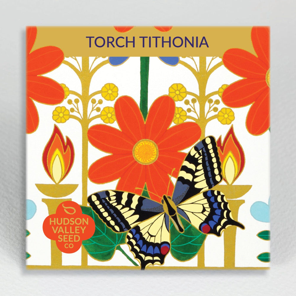 Torch Tithonia vendor-unknown