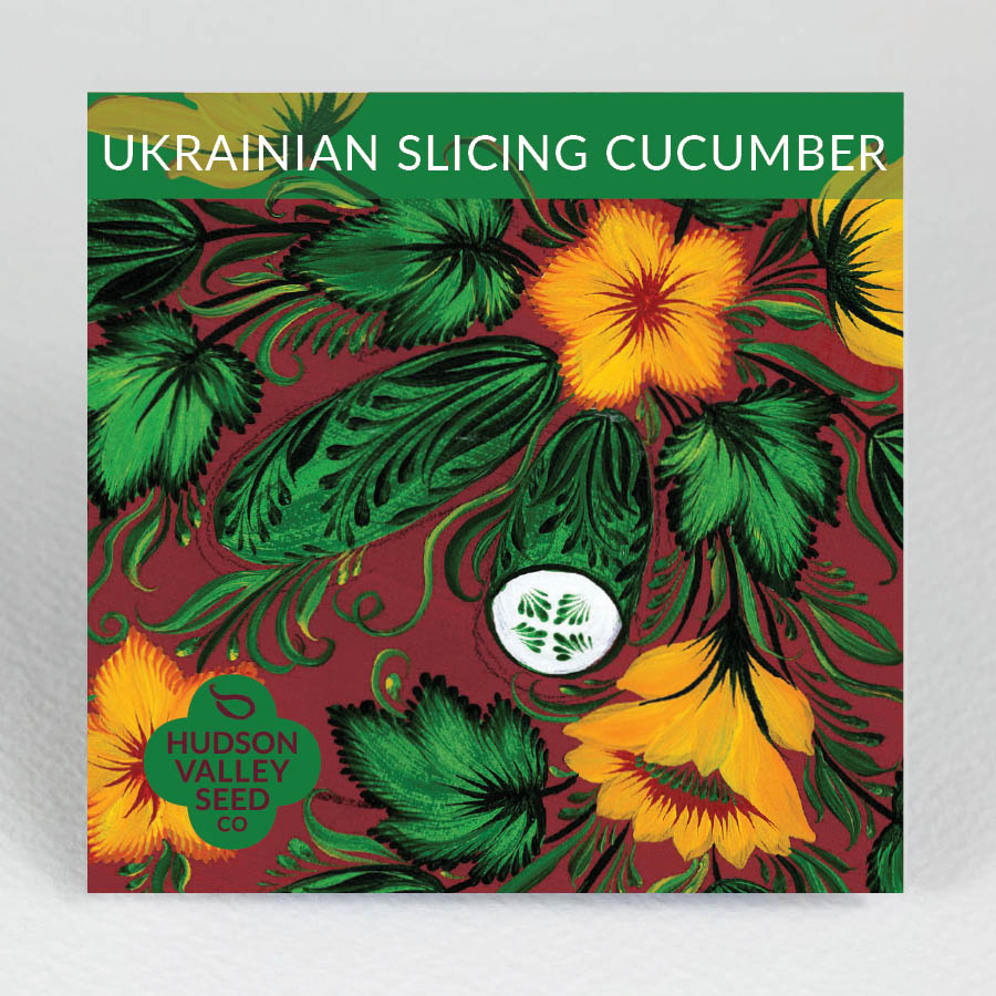 Ukrainian Slicing Cucumber