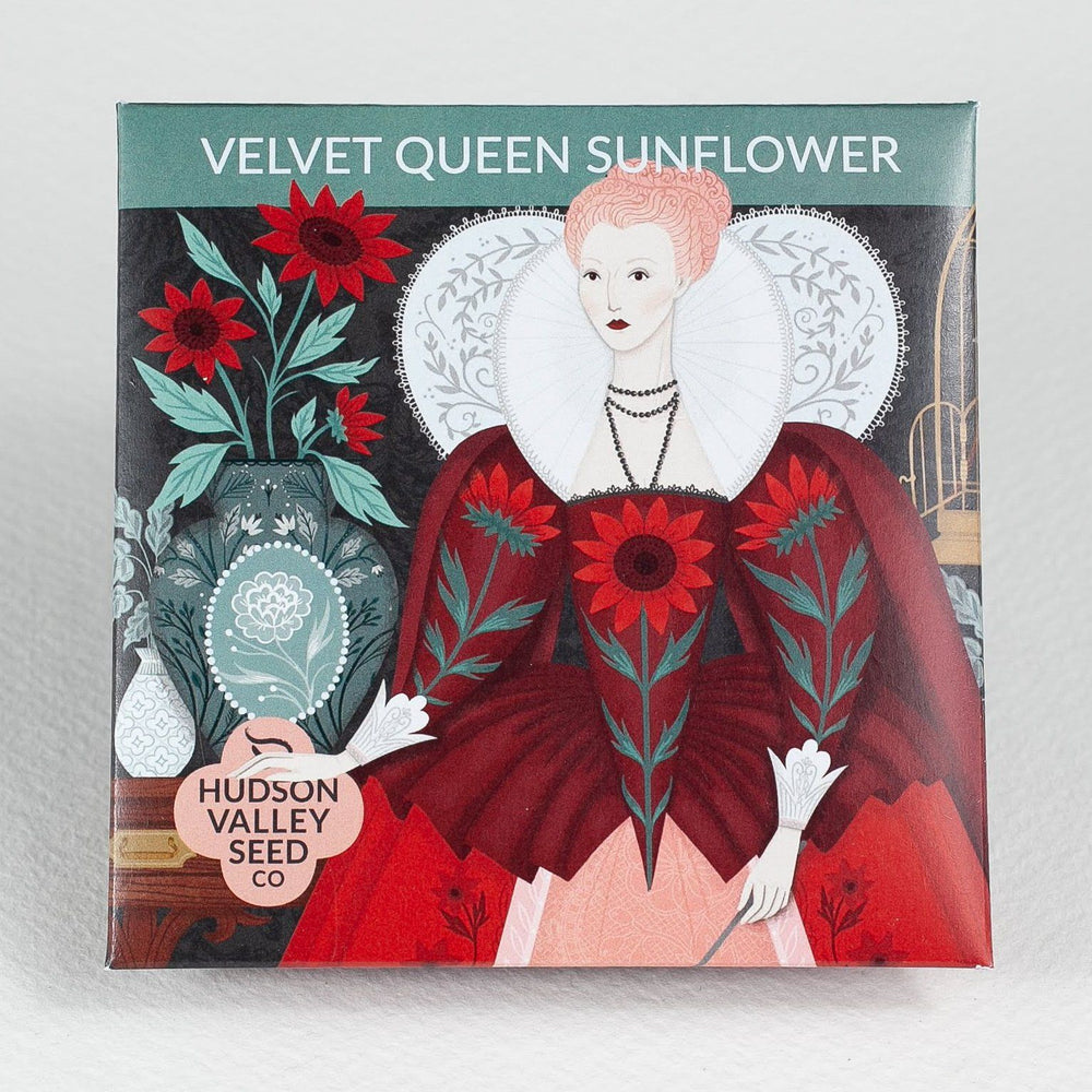 Velvet Queen Sunflower vendor-unknown