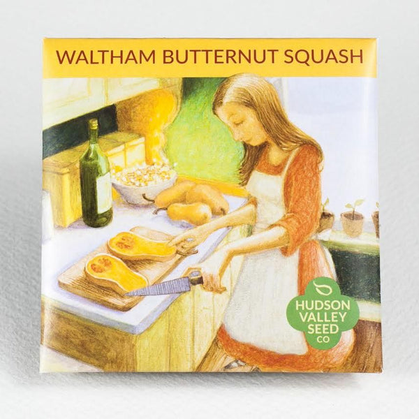 Waltham Butternut Squash vendor-unknown