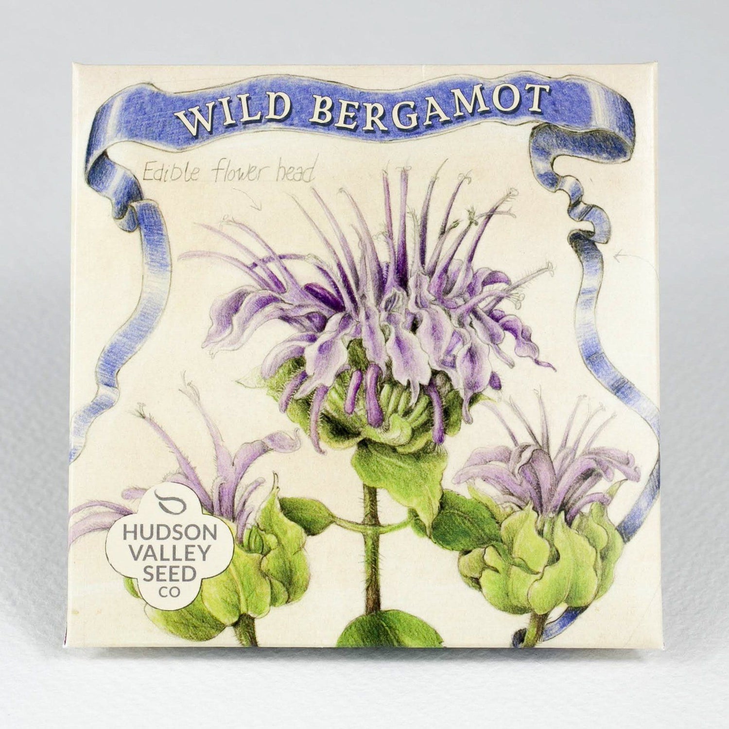 Wild Bergamot