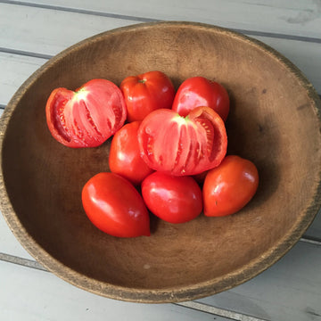 Tomato Seedlings