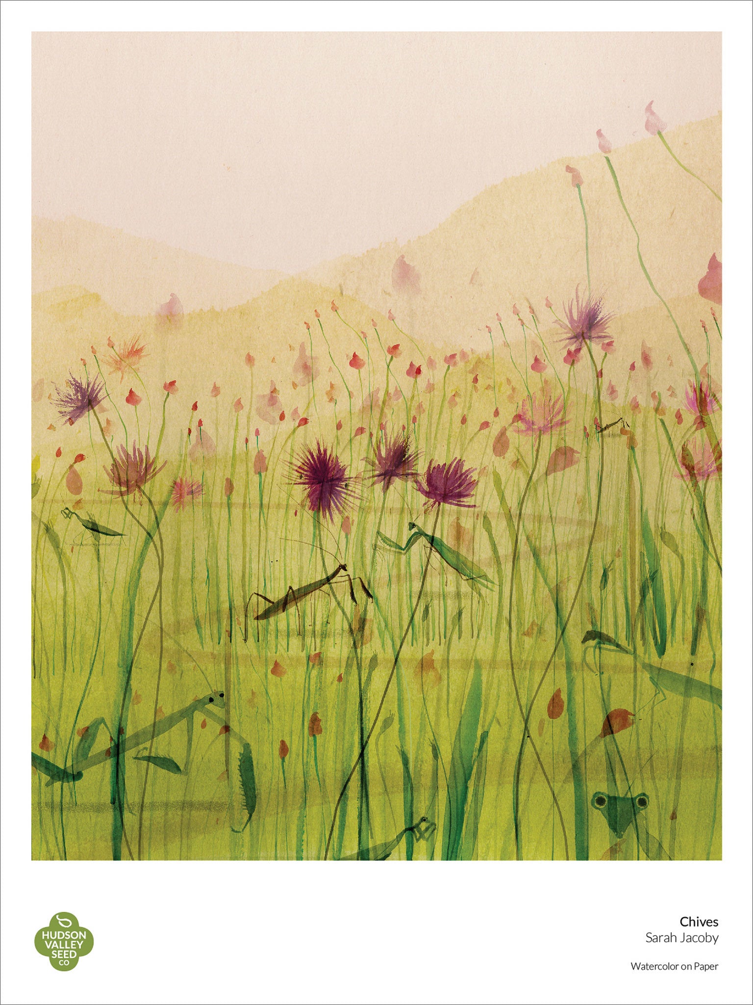 Chives Fine Art Poster