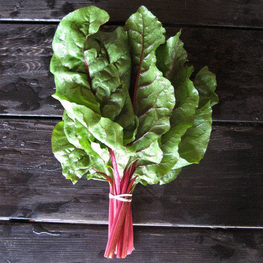 Rhubarb Chard Seedlings