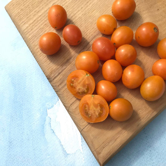 Honey Drop Cherry Tomato Seedlings