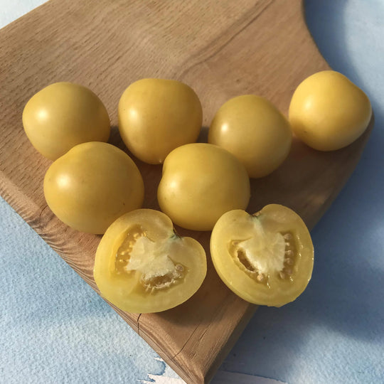 Mandurang Moon Tomato Seedlings