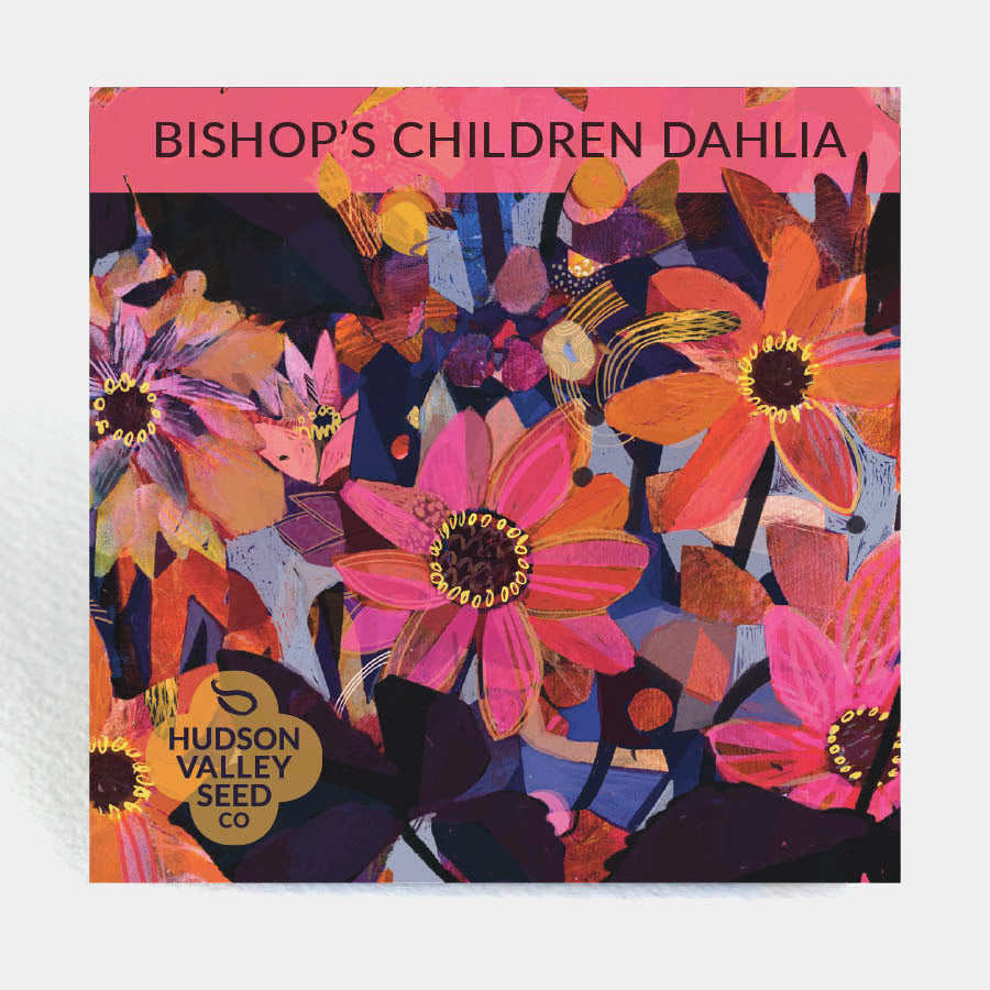 Bishop's Children Dahlia Seed