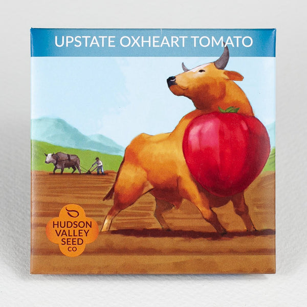 Upstate Oxheart Tomato Art Pack